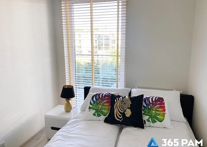 365pam - Na Fali W Gaskach